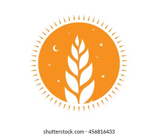 orange night circle paddy wheat barley plant harvest agriculture image vector