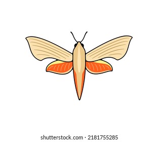 Orange nocturnal moth, butterfly and moth, logo design. Flying insects, nature, entomology and entomological, vector design and illustration