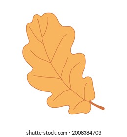 Orange  oak leaf. Hand drawn  vector illustration with color outline isolated on white background.	