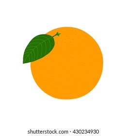 Orange. Object isolated on white background. Vector illustration.
