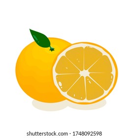 Naranja sobre fondo blanco, rodajas anaranjadas, vector naranja.