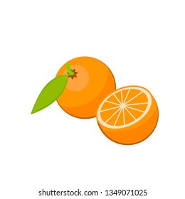 Orange on the white background, vector illustration