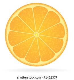 Orange on a white background. Vector illustration.