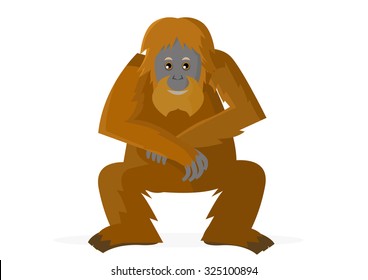 orange orangutan vector illustration