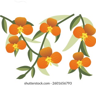 Orange orchid vector isolated on white background. Tropical flower vector