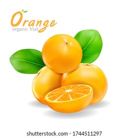 Vector realista de frutas orgánicas naranjas sobre fondo blanco.