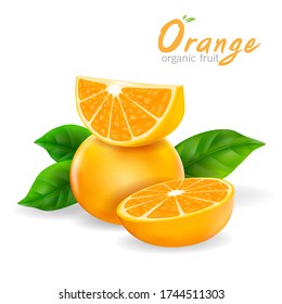 Orange Organic Fruit Realistic Vector on White Background.