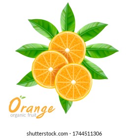 Orange Organic Fruit Realistic Vector on White Background.