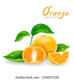 Orange Organic Fruit Realistic Vector on White Background.