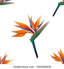 Orange Osteospermum daisybushes. Vector illustration. Floral botanical flower. Wild leaf wildflower isolated. Exotic tropical hawaiian jungle. Seamless background pattern. Fabric wallpaper print .