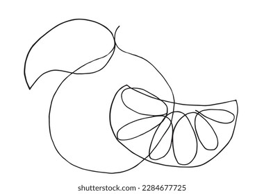 Orange outline illustration vector image. Hand drawn orange pieces sketch image artwork. Simple original logo icon from pen drawing sketch.