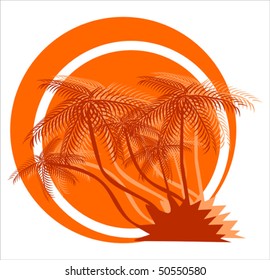 Orange palm trees on the white background