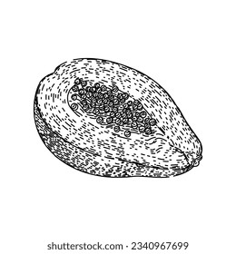 fruta de papaya naranja dibujada a mano. corte tropical, comida cruda, boceto vectorial amarillo de frutos de papaya anaranjado. ilustración negra aislada