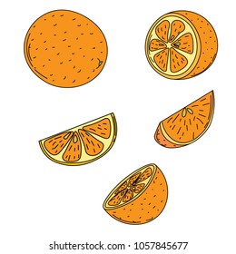 Orange paradise Bright juicy sweet orange Vector drawing.