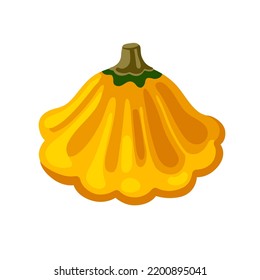 Orange pattypan squash, decorative pumpkin, gourd vegetable. Hand drawn isolated vector illustration.