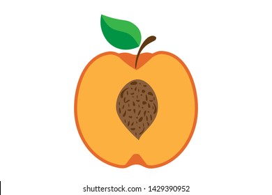 orange peach in cut with bone on white background