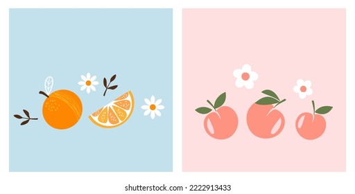 Orange, peach fruit and white flower on blue and pink background vector illustration.