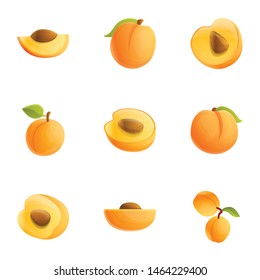 Orange peach icon set. Cartoon set of 9 orange peach vector icons for web design isolated on white background