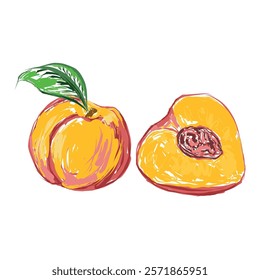 Orange peach. Juicy fruit. Scenic vector illustration