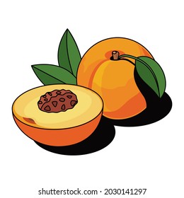 Orange peach slicing. Vector 3d sketch line isometric, color icon illustration, flat style. Creative design idea and elements for infographics and website.