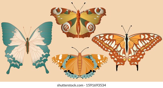 Orange, peach, tangerine, turquoise and aquamarine butterflies on a delicate beige background. Seamless pattern. Vector illustration. Picture with four insects. EPS10
