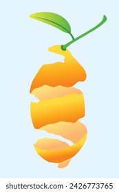 orange peel with stem and leaves vector graphic design. orange peel with stem and leaves vector illustration