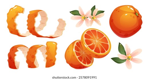 Orange peel twisted skin strips, bright juicy citrus slices, whole ripe fruit and delicate blossom with green leaves - illustration set on white background. Tangerine elements for food packaging.