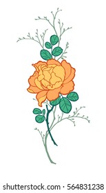 Orange peony rose flower with branches for decorate. Illustration on white background. Can be used for decorate postcards, tattoo, engraving, etching, decorate t-shorts, tunics, bags.