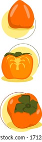 
orange persimmon flat illustration set