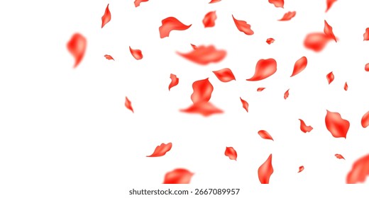 Pétalos de naranja cayendo sobre fondo floral abstracto con hermoso patrón de pétalos en la tarjeta de felicitación. Ilustración vectorial.