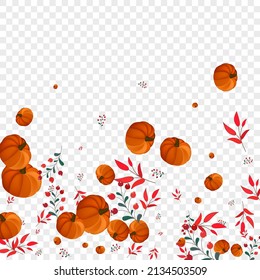 Orange Plant Background Transparent Vector. Yellow Vibrant Texture. Colorful Leaf Wreath Card. Gourd Healthy. Picking Illustration.