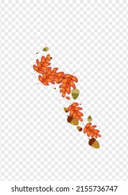 Orange Plant Background Transparent Vector. Foliage September Texture. Golden Leaves. Drawn Set. Gold Acorn Nature.