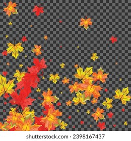 Vector transparente de fondo de planta naranja. Ilustración de Floral Down. Hoja Dorada. Plantilla de hojas aisladas.