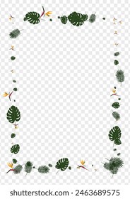 Orange Plant Background Transparent Vector. Leaves Style Design. Light Green Flora. Holiday Illustration. Pink Island Backdrop.