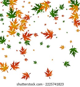 Orange Plant Background White Vector. Leaf Celebrate Template. Gold Decor. Collection Illustration. Green Maple Flying.
