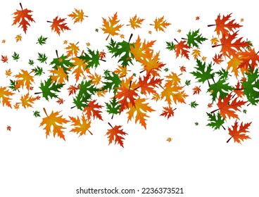 Orange Plant Background White Vector. Maple Single Texture. Green Paper. Canada Pattern. Ocher Foliage September.