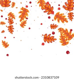 Orange Plant Background White Vector. Oak Gradation Design. Golden Leaves. Backdrop Texture. Red Leaf Decorative.