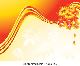 Orange plant and flower