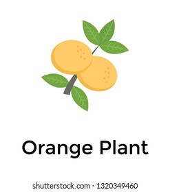 Orange plant in orchard flat icon 