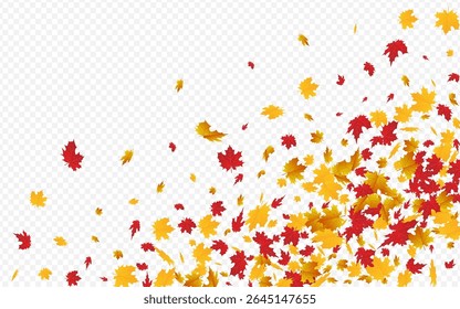 Orange Plant Vector Transparent Background. Down Leaf Frame. Colorful Pattern Foliage Illustration. October Card.