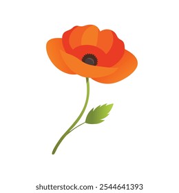 
Orange poppy flower along with stalk and bud isolated flat vector illustration on white background