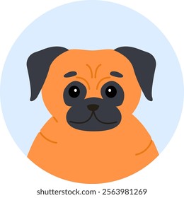 Orange pug dog with black ears and face, sitting inside a light blue circle and looking forward with a friendly expression, radiating cuteness and charm