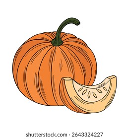 Laranja abóbora vegetal agricultura. Ocasiões de Halloween e de Ação de Graças. Decoração do festival de outubro. Desenhado à mão na arte da linha da coleção de elementos