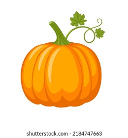 Orange pumpkin. Autumn symbol. Vector illustration isolated on white background.