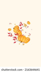 Orange Pumpkin Background Beige Vector. Leaf Pumpkins. Yellow Vintage Set. October Border. Red Vegetable Collection Texture.