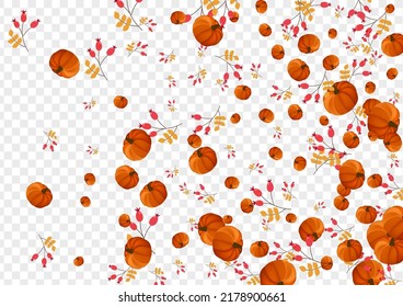 Vector transparente de fondo de calabaza naranja. Textura del patrón oro. Juego de guirnaldas de verduras amarillas. Papel tapiz de planta. Cartel gráfico.