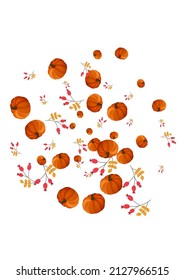 Orange Pumpkin Background White Vector. Leaves Decoration. Red Happy Banner. Vibrant Illustration. Gold Plant Food Frame.