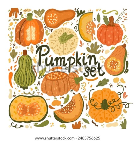  Orange pumpkin big set. Symbol of  Halloween and Thanksgiving day. Vector illustration on white background in doodle style.