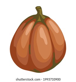 orangefarbener Kürbis, helles Herbstgemüse, Ernte, Halbsymbol einzeln auf weißem Hintergrund, stylische Vektorgrafik