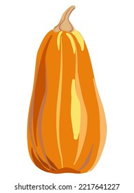 Orange pumpkin with brown stem. Vegetable is tall, elongated. Hand drawn drawing with paint strokes, flat cartoon style. Isolated autumn food icon. Vector illustration for Thanksgiving holiday clipart